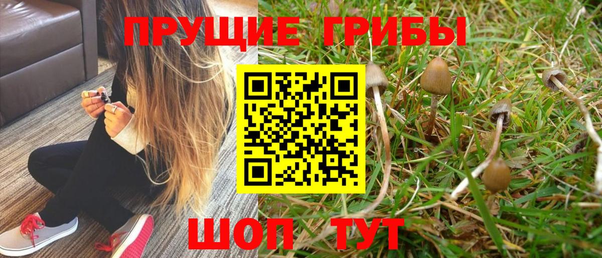 Галлюциногенные грибы GOLDEN TEACHER Ульяновск
