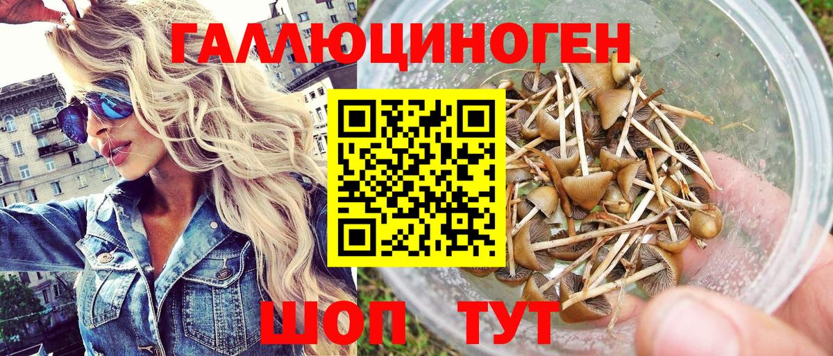 Ульяновск  Галлюциногенные грибы Magic Shrooms  как найти   Вход с VPN 